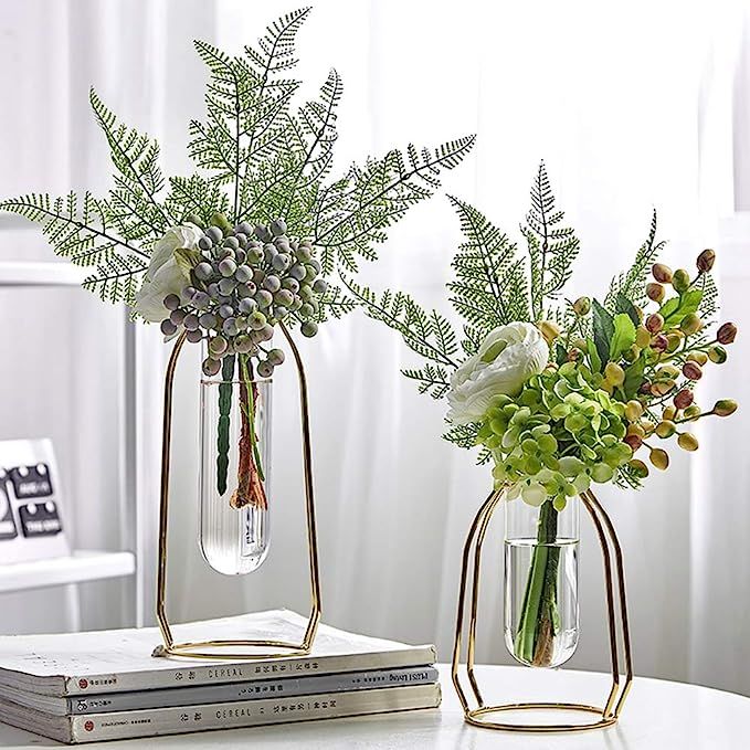 MARATTI 2 Pcs(S+L) Flower Vases with Iron Art Frame, Metal Geometric Flower Vase, Clear Vase Deco... | Amazon (US)