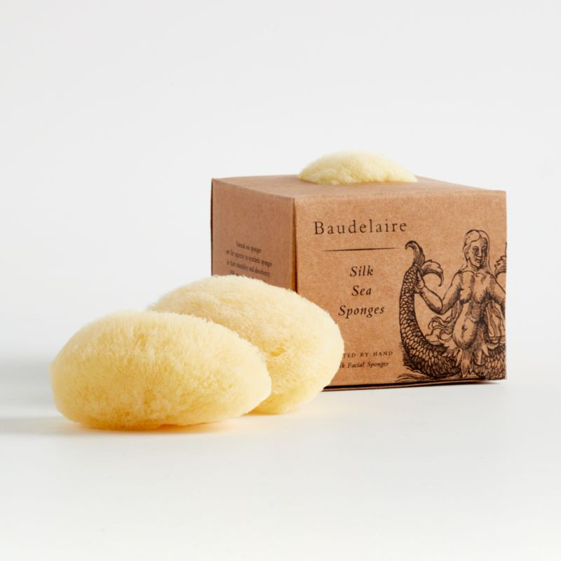 Silk Sea Sponge + Reviews | Crate & Barrel | Crate & Barrel