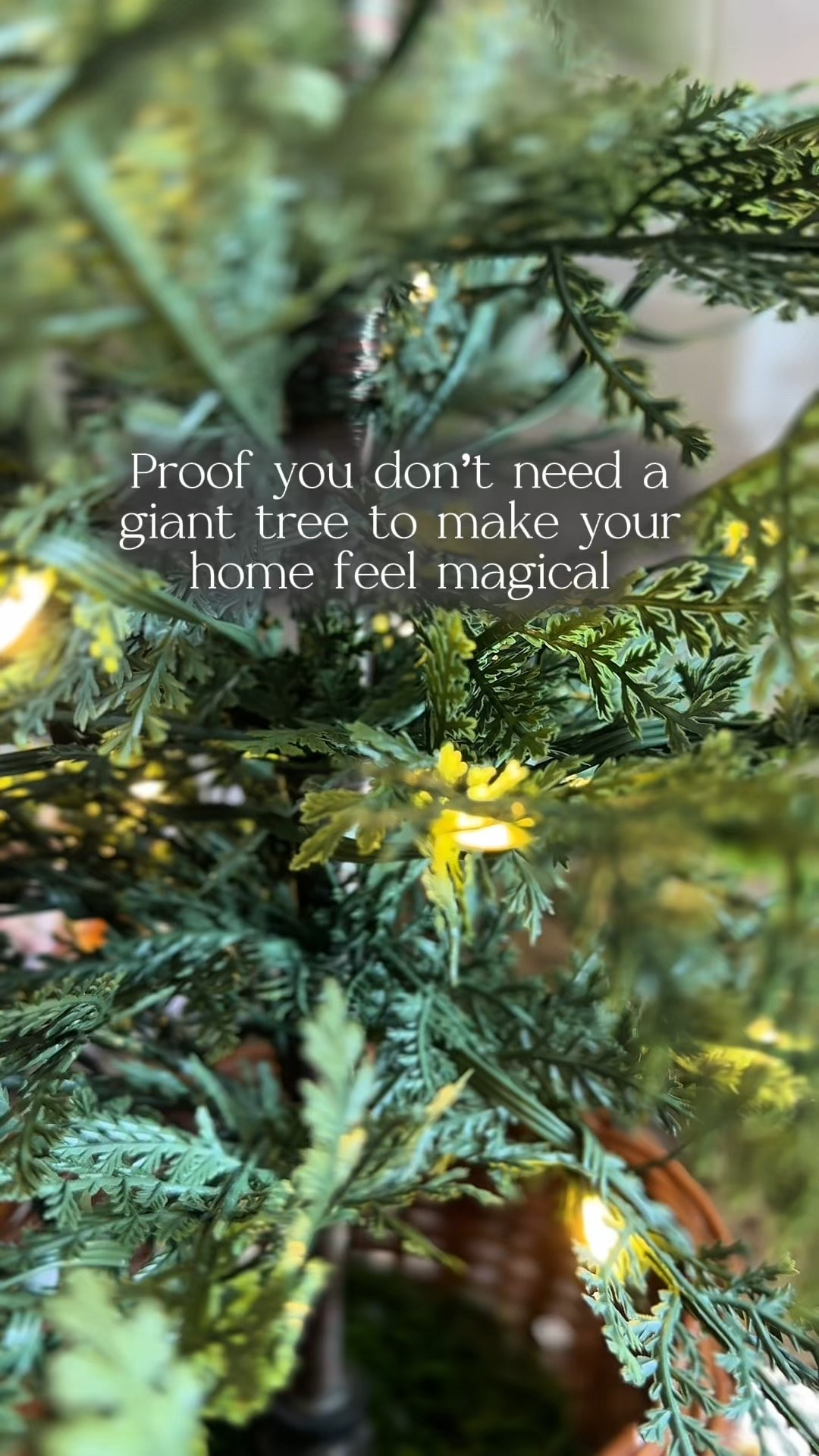 Looking for a small tabletop 24-inch Christmas tree with twinkling lights? I found it! This Walmart cypress fir tabletop tree is the perfect mini pre-lit holiday decoration for apartments, small spaces, entryways, tables or desks. The LED twinkle lights add the perfect cozy glow, making it one of my favorite affordable Christmas decor finds this season.

	1.	#TabletopChristmas
	2.	#MiniChristmasTree
	3.	#CypressFirTree
	4.	#TwinklingLights
	5.	#SmallSpaceDecor
	6.	#HolidayTabletop
	7.	#CozyChristmas
	8.	#BudgetChristmasDecor
	9.	#PreLitTree
	10.	#ChristmasAtHome

24-inch Christmas tree, twinkling lights cypress fir, Walmart tabletop Christmas tree, pre-lit cypress fir tree, small table Christmas decor, mini holiday tree Walmart, affordable Christmas tree, compact twinkle tree, tiny space holiday decor, faux cypress fir artificial tree

#LTKFindsUnder50 #LTKHome #LTKSeasonal