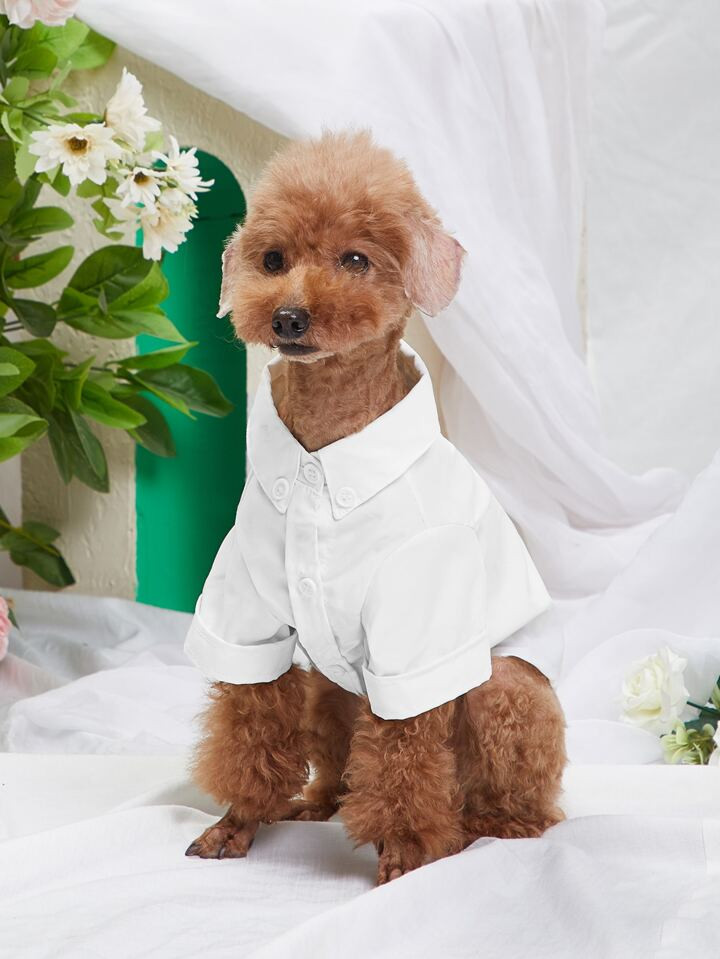 Plain Pet Shirt | SHEIN