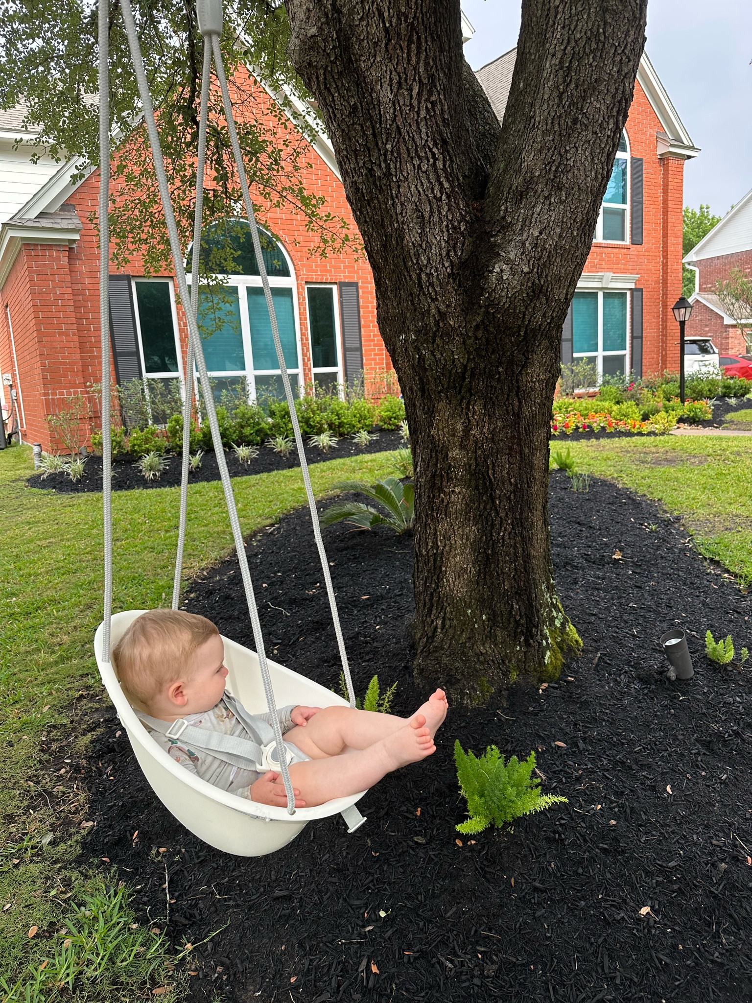 Baby swing to discount hang from tree