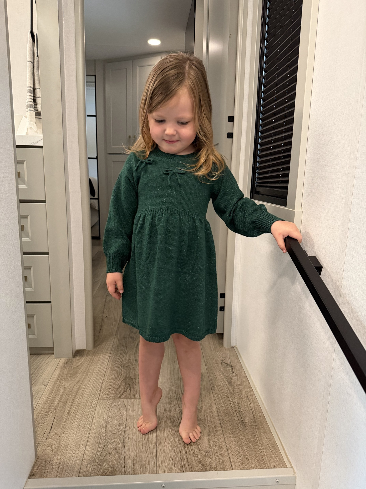 Toddler Christmas / holiday dress 💚

#LTKHoliday #LTKKids #LTKSaleAlert