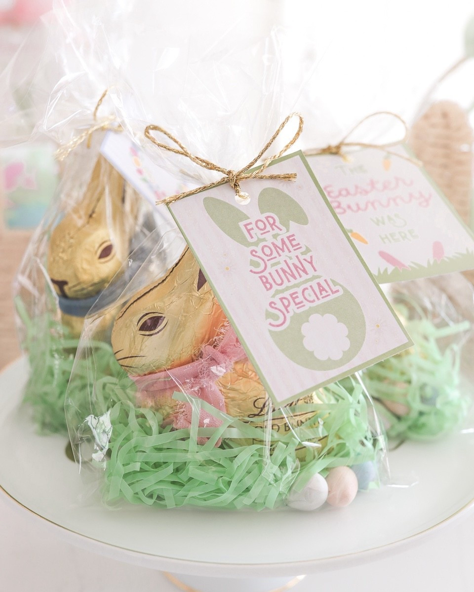Made these cute Easter bunny bags for some of our favorite kiddos! Cute and affordable— perfect Easter treats for parties, classrooms, and neighbors! 

#LTKSeasonal #LTKHome #LTKKids