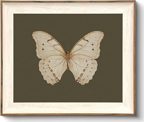 Uniro Vintage Framed Wall Art, Classical Butterfly Oil Paintings, Dark Moody Insect Canvas Prints... | Amazon (US)