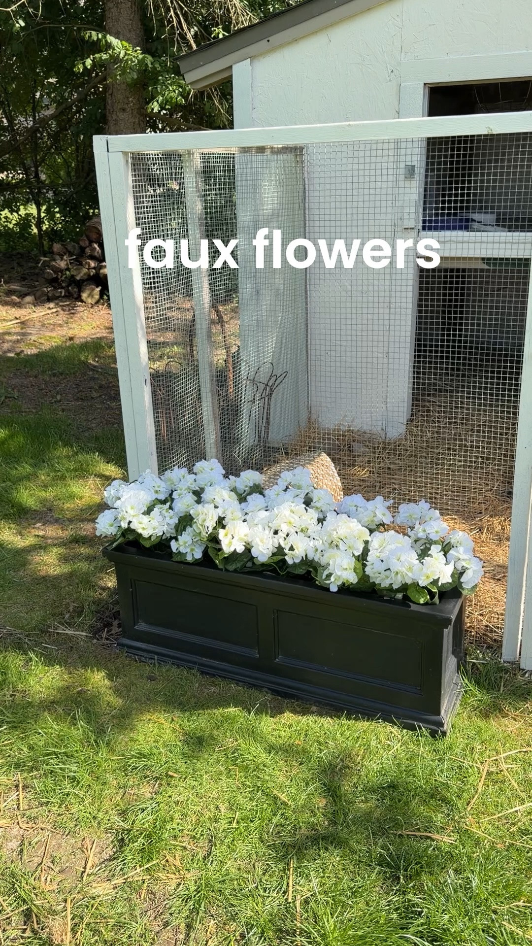 two packs of the faux geraniums

#LTKHome #LTKSeasonal #LTKdayinmylife