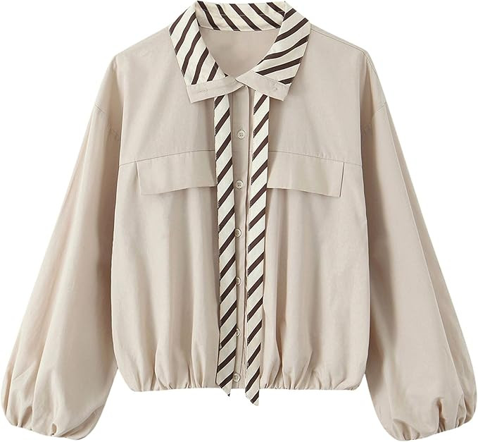 Chevara Women’s Casual Button Down Shirt Long Sleeve Lapel Collar Business Blouse Shirts | Amazon (US)