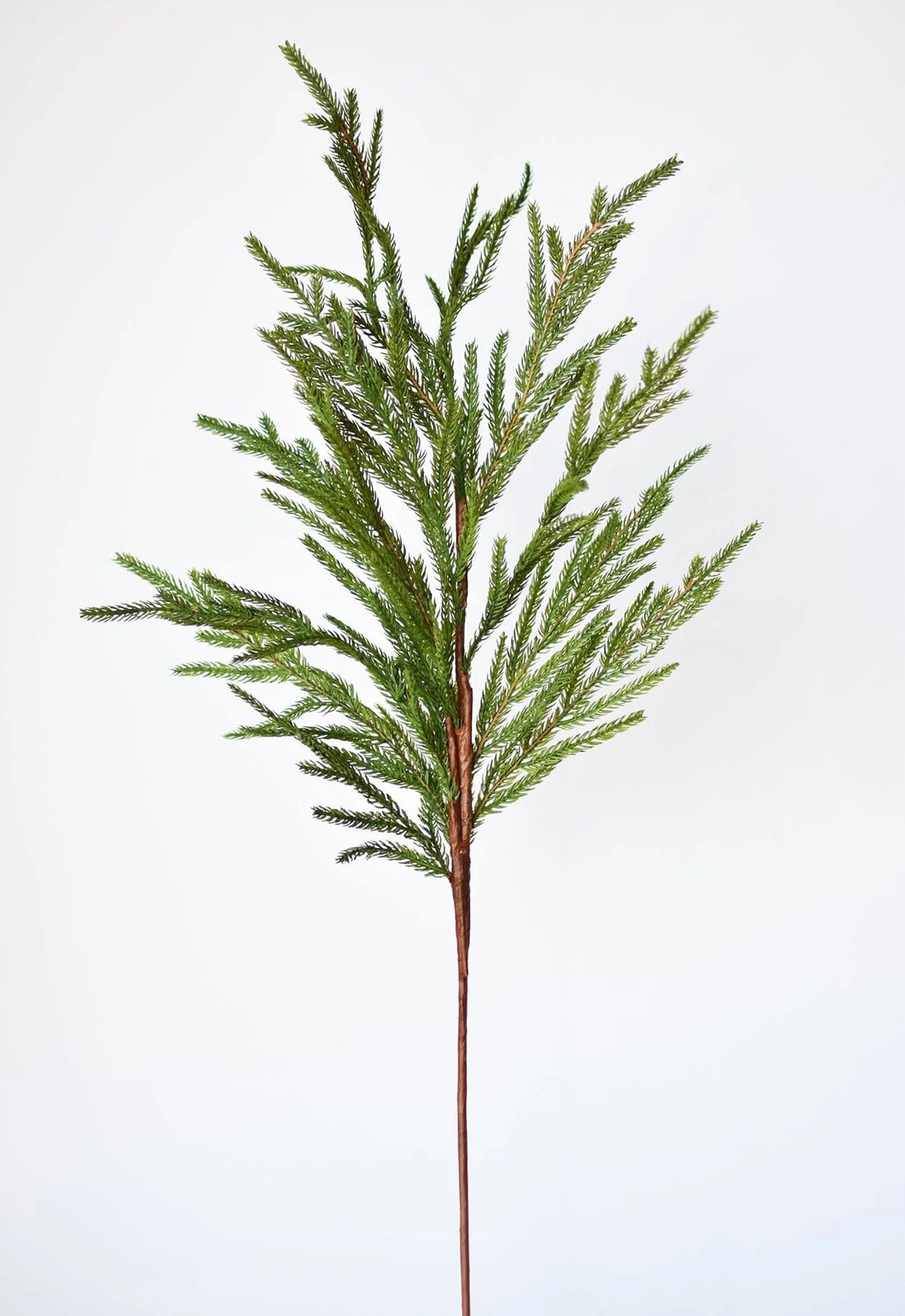 36 Faux Green Norfolk Pine Cypress Spray Stem Christmas - Etsy | Etsy (US)