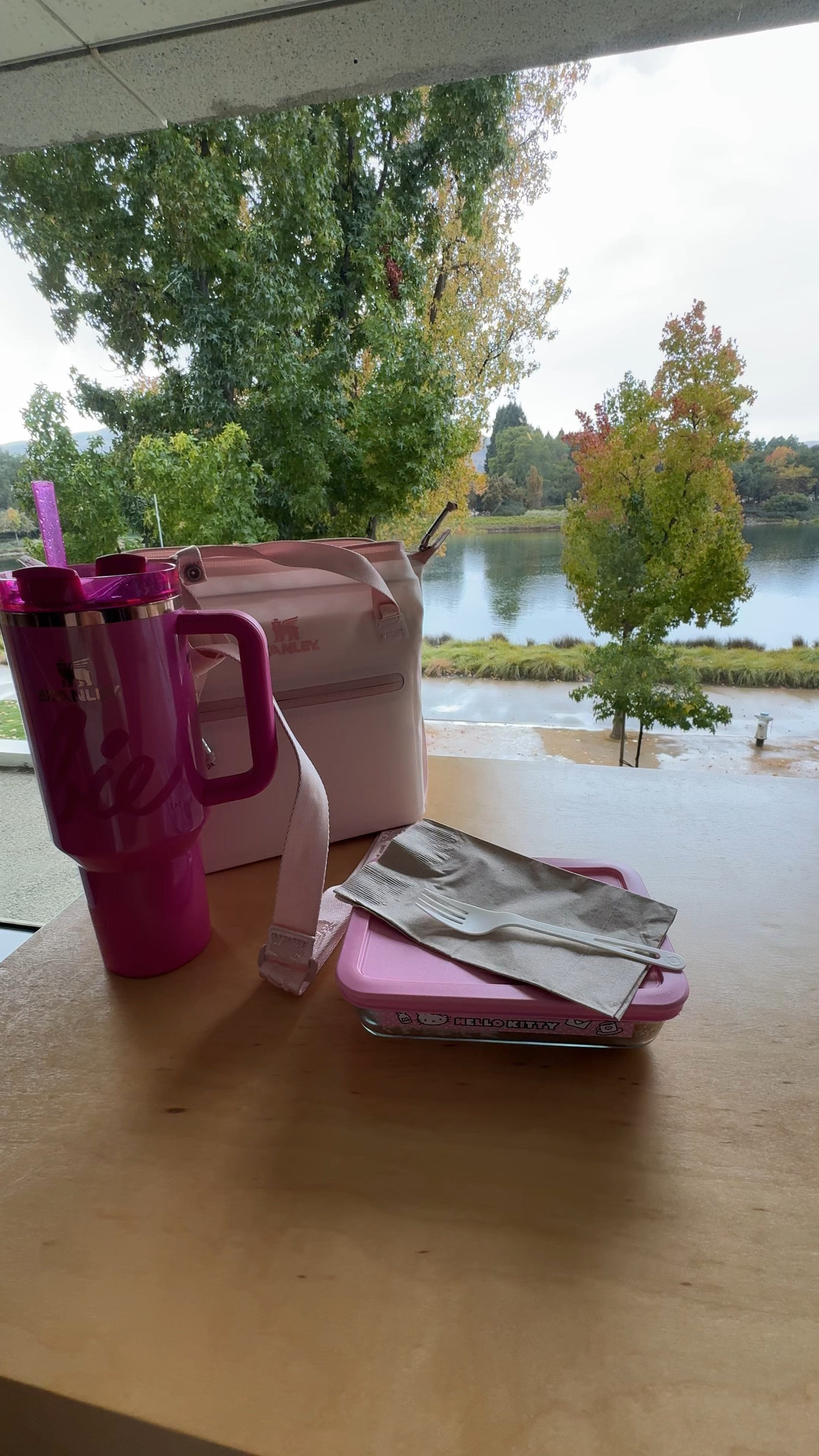 Stanley lunch bag 🩷

#LTKWorkwear #LTKCyberWeek #LTKItBag