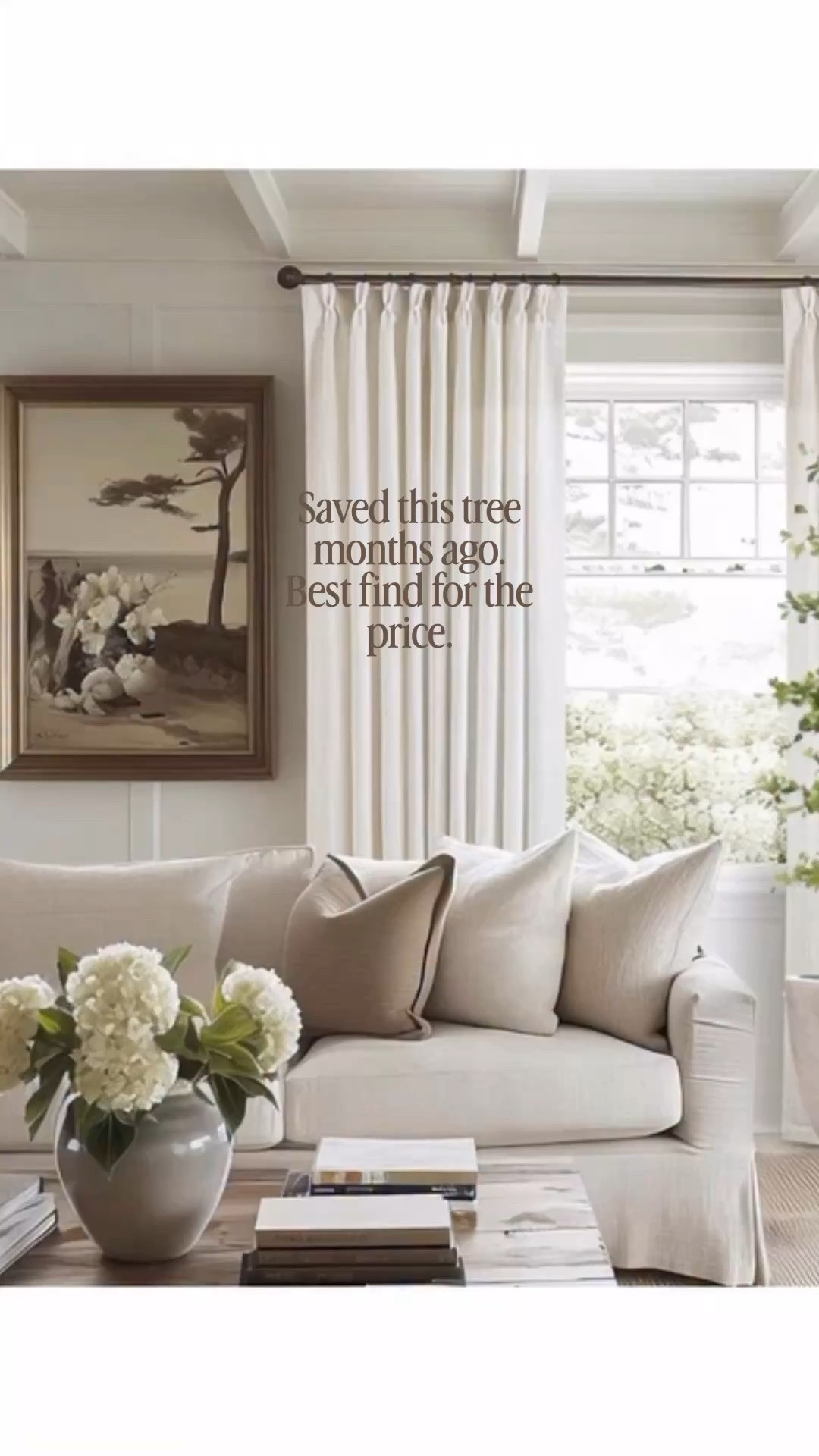 I’ve literally had this tree in my cart, recommending it to my friends for months. I love the shape and the color and the price.

#fauxolivetree #pinchpleatdrapes #amazonhomefinds

#LTKHome