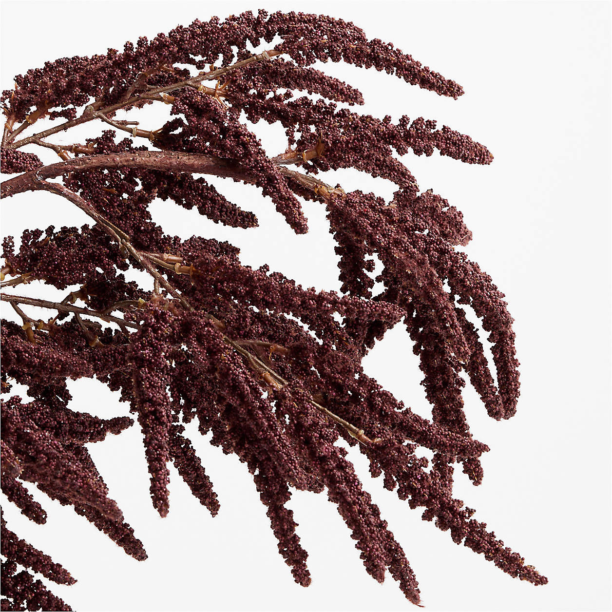 Faux Chocolate Amaranthus Stem 50" + Reviews | Crate & Barrel | Crate & Barrel