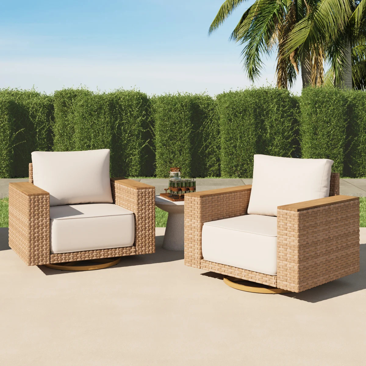 Delysa Outdoor Swivel Chair With  Cushion （set Of 2） | Wayfair North America