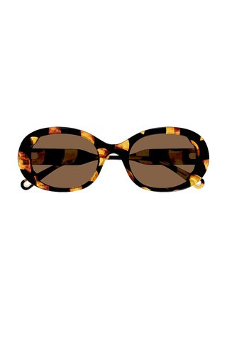 Chloe Lilli Oval Sunglasses in Shiny Scalloped Chlo? Havana Black & Brown from Revolve.com | Revolve Clothing (Global)