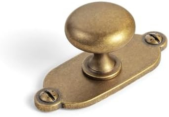 Goo-Ki Antique Brass Zinc Alloy Cabinet Knob with Backplate - Single Hole Center Cabinet Pull Har... | Amazon (US)