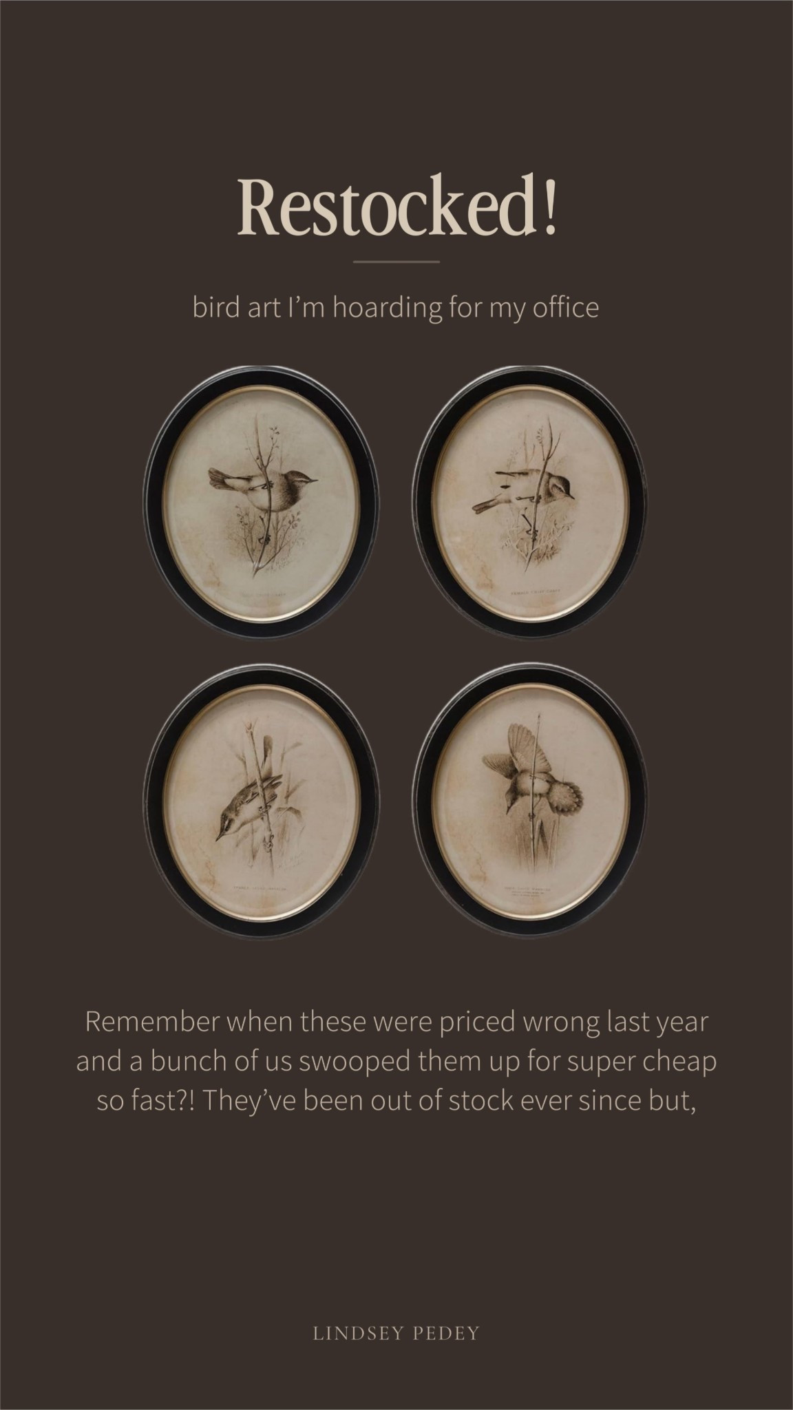 I found my Bird art in stock here!

Wall art, vintage art, gallery, wall, oval frame, home decor, spring decor, office 

#LTKHome