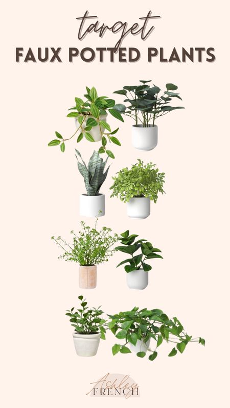 Faux potted plants all available at Target!

Faux plants, indoor plants, outdoor plants

#LTKFindsUnder100 #LTKHome #LTKStyleTip