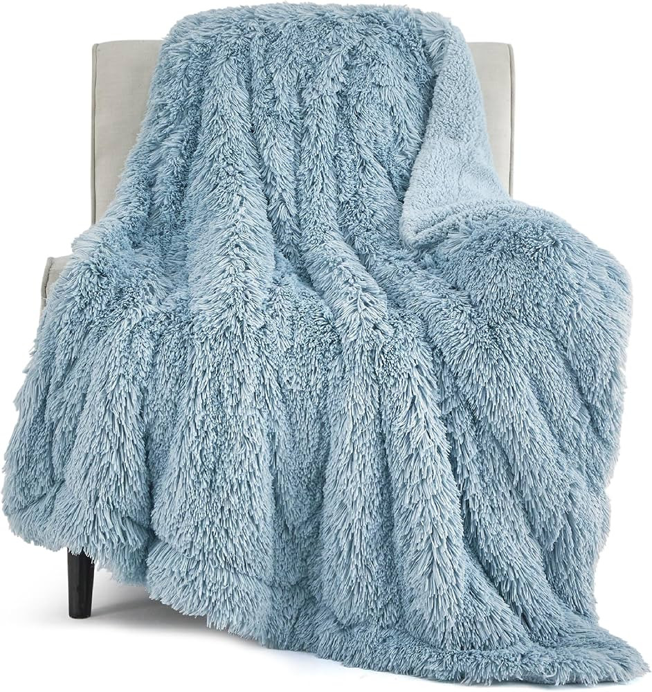 Bedsure Blue Throw Blanket for Couch, Fluffy Fuzzy Blue Blankets & Throws for Bed, Sofa, Cozy Plu... | Amazon (US)