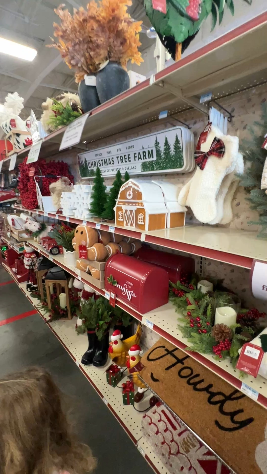 Run to tractor supply for the cutest Christmas decor 😍

#LTKHome #LTKHoliday #LTKSeasonal