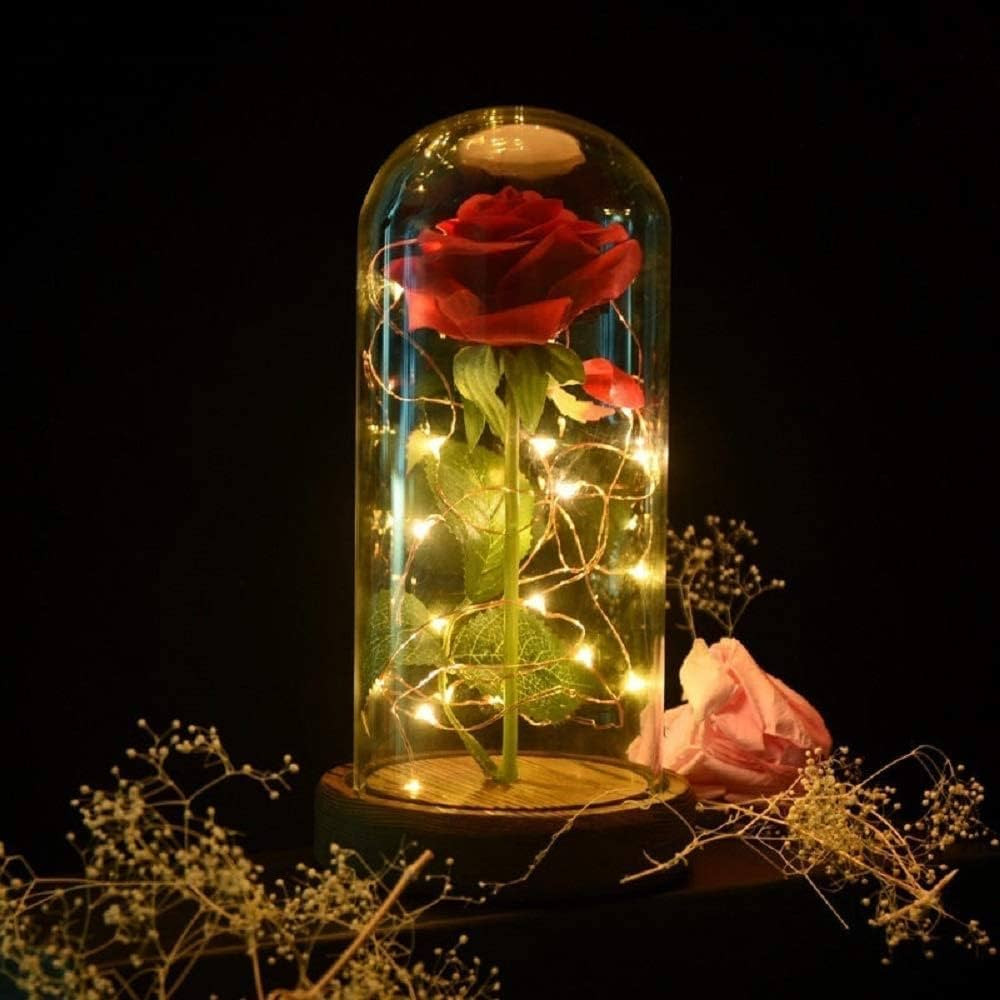 SW Preserved Rose Enchanted Rose Red Silk Rose in Glass Dome with LED Lights Pine Base, Romantic ... | Amazon (US)