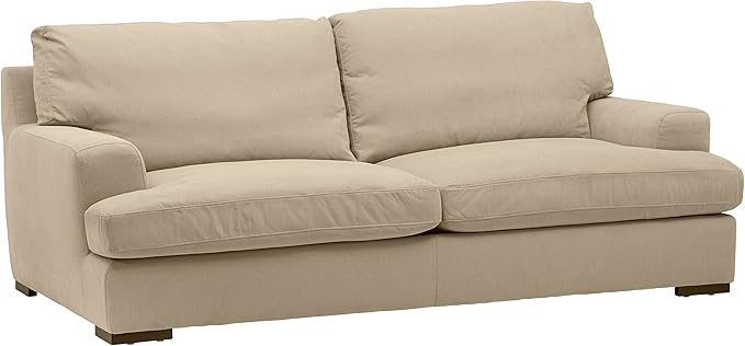 Contemporary Down Filled Couch | Amazon (US)