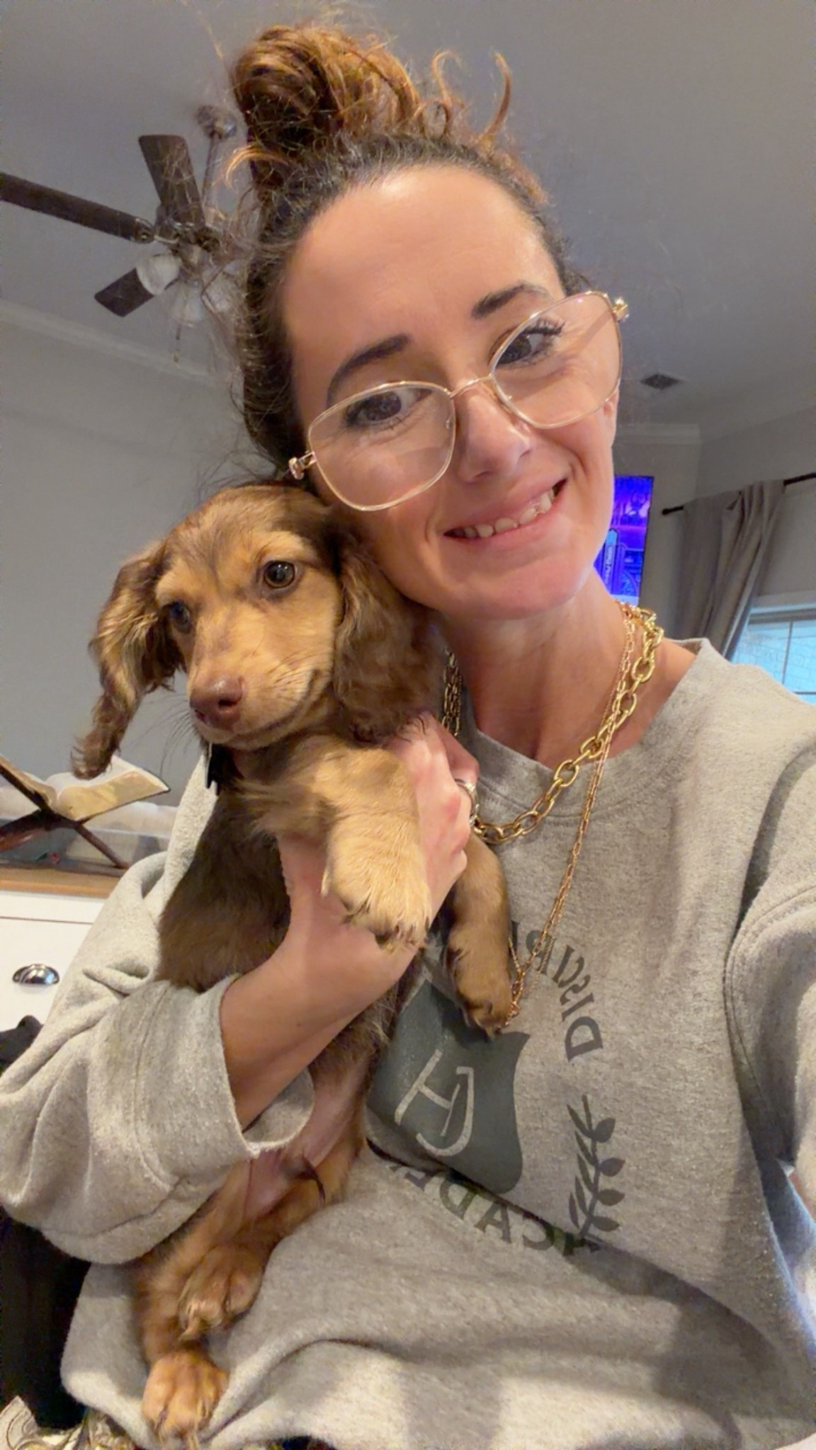 I ordered this for snickers! I am so excited for him to get it #LTKpets