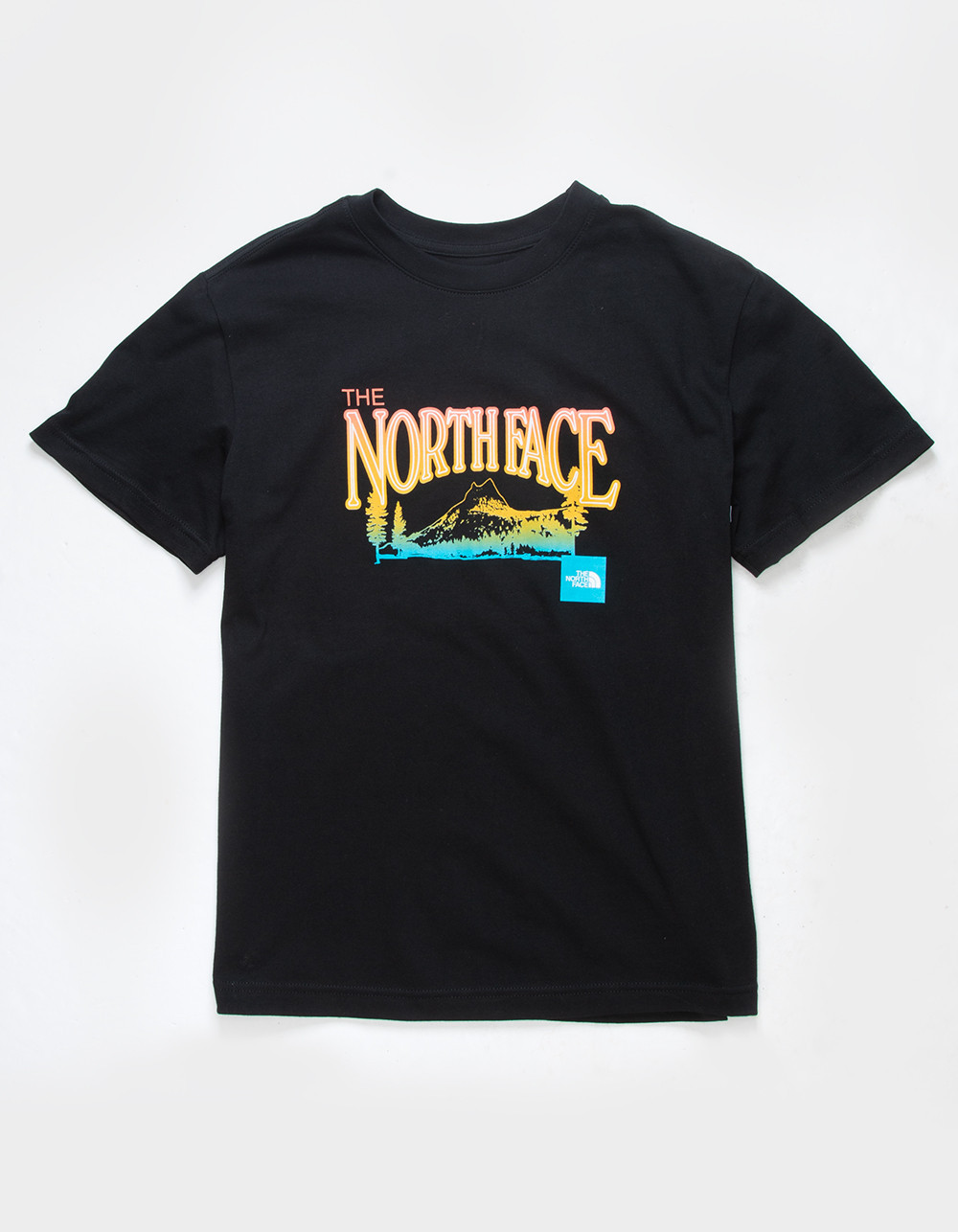 THE NORTH FACE Scenic View Boys Tee | Tillys