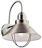 Seaside 16.5" 1 Light Outdoor Wall Light Brushed Nickel | Amazon (US)