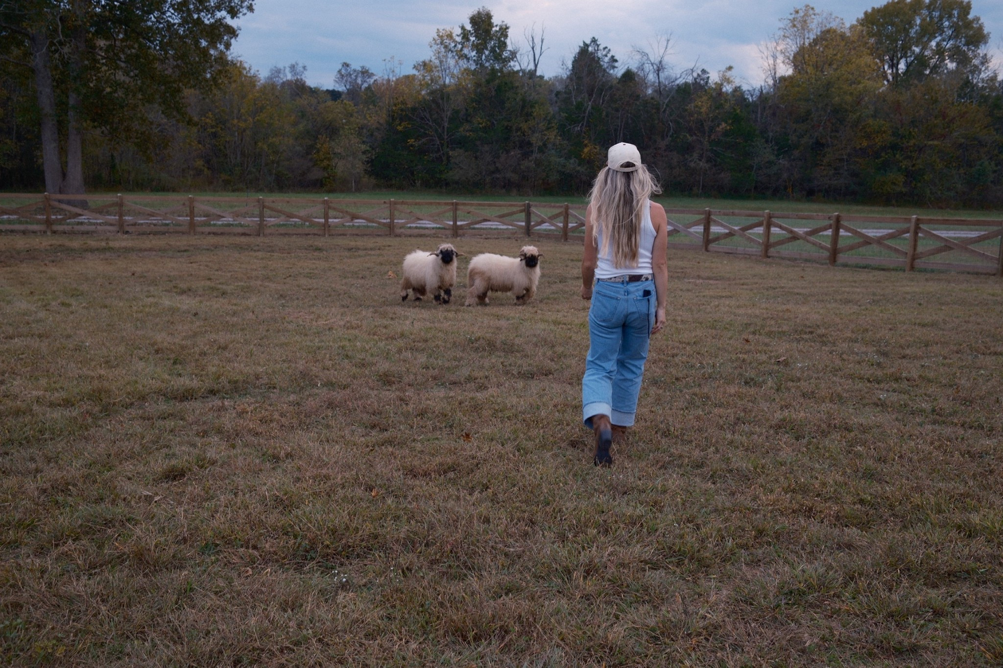 rounding up all of my Abercrombie favorites for the sale right now! i wear long in most of the jeans. use code DENIMAF for an additional 15% off!!

#LTKSeasonal #LTKSaleAlert #LTKootd