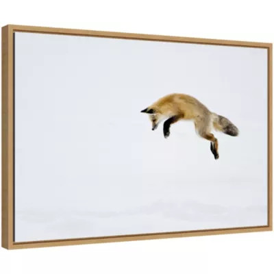 Amanti Art Red Fox in Snow Framed Canvas Wall Art Print | Belk