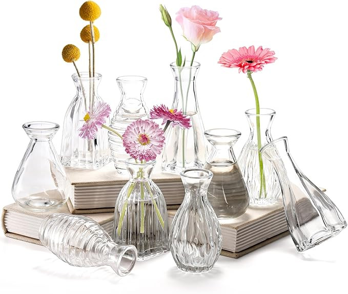 SOUJOY 10 Pack Small Glass Bud Vase, Mini Flower Vase for Centerpieces, Clear Vintage Floral Bud ... | Amazon (US)