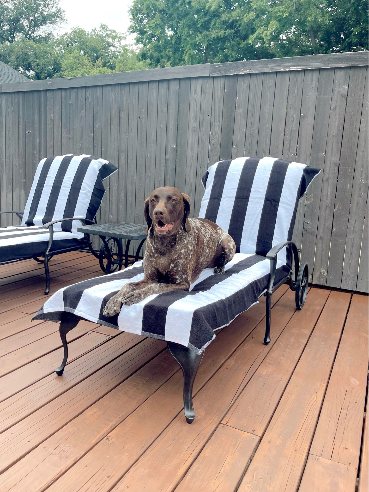 New outdoor chaise lounge chairs for by the pool 🩷

Chaise lounge chairs. Outdoor furniture. Striped towels. Amazon finds  

#LTKSwim #LTKHome #LTKParties