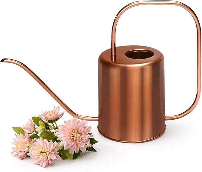 Plexon Rose Gold Metal Watering Can Indoor Plants, 54 oz Stainless Steel Long Spout Watering Can ... | Amazon (US)