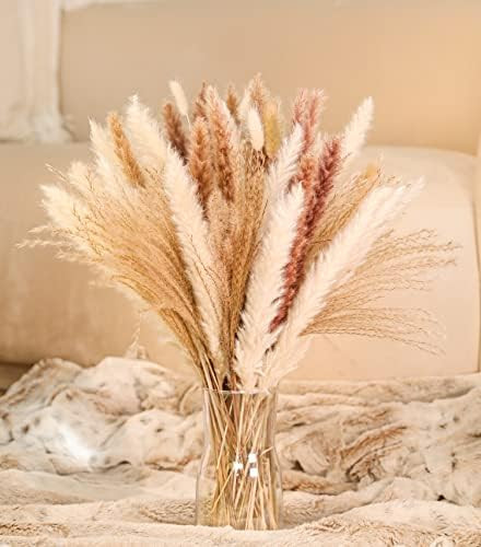 MagicDecor 85Pcs Boho Home Decor Dried Flowers Arrangements White & Natural Pampas Grass, Reed, Bunn | Amazon (US)