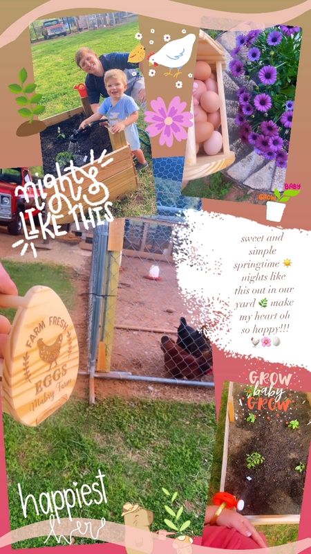 sweet and simple springtime ☀️ nights like this out in our yard 🌿 make my heart oh so happy!!! 🐓🌸🥚

#LTKhome #LTKSeasonal #LTKfamily