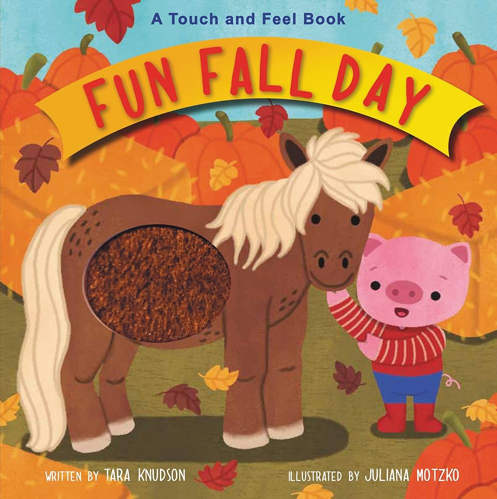 Fun Fall Day: A Touch and Feel Board Book | Amazon (US)