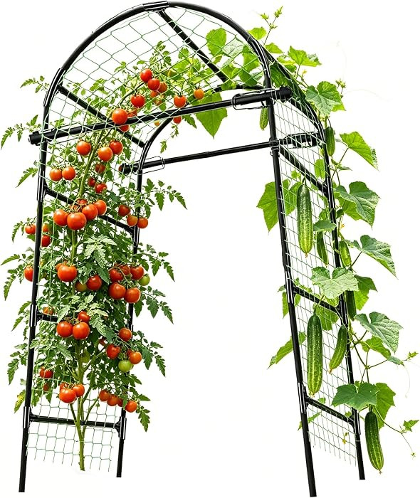 Garden Arch Trellis for Climbing Plants Outdoor - (Black, 81x36x32in) Cucumber Trellis for Raised... | Amazon (US)