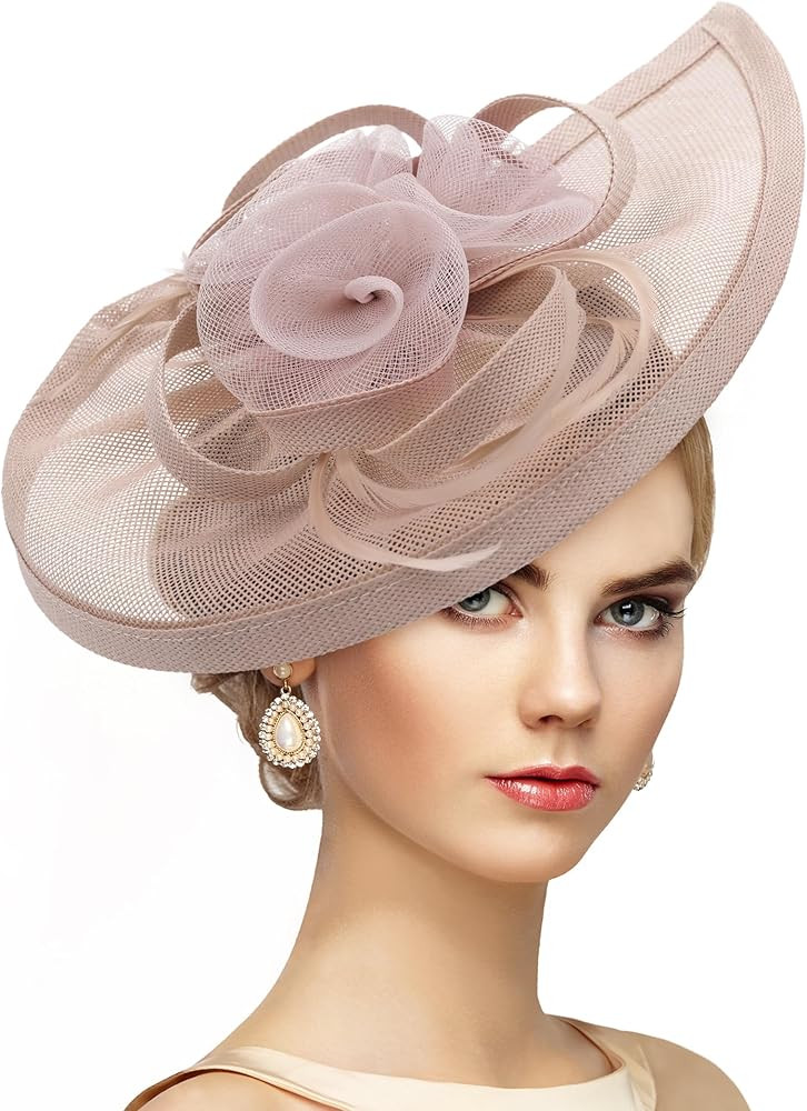 Zinniday Feather Fascinator Hat for Women - 2026 Victoria High Tea Party Kentucky Hat with Hair C... | Amazon (US)