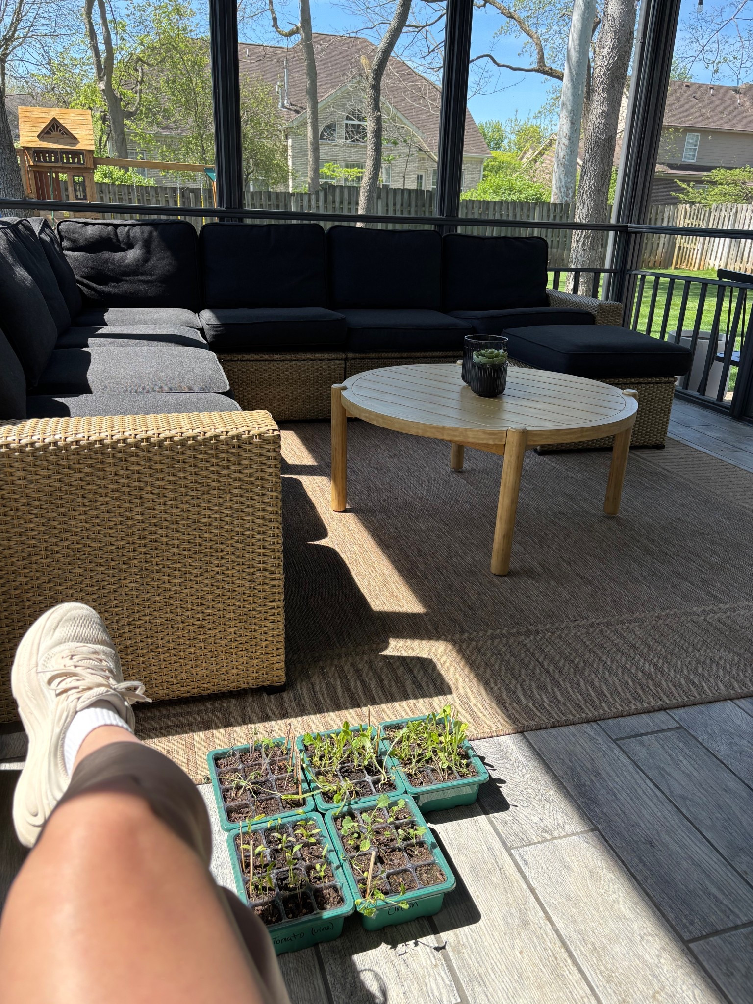 All I want to do lately is sit and sunbathe with my plant babies 🌱 🌞 


#sunroom #lowtoxmom #cleanliving 

#LTKmomlife #LTKvlog #LTKHome