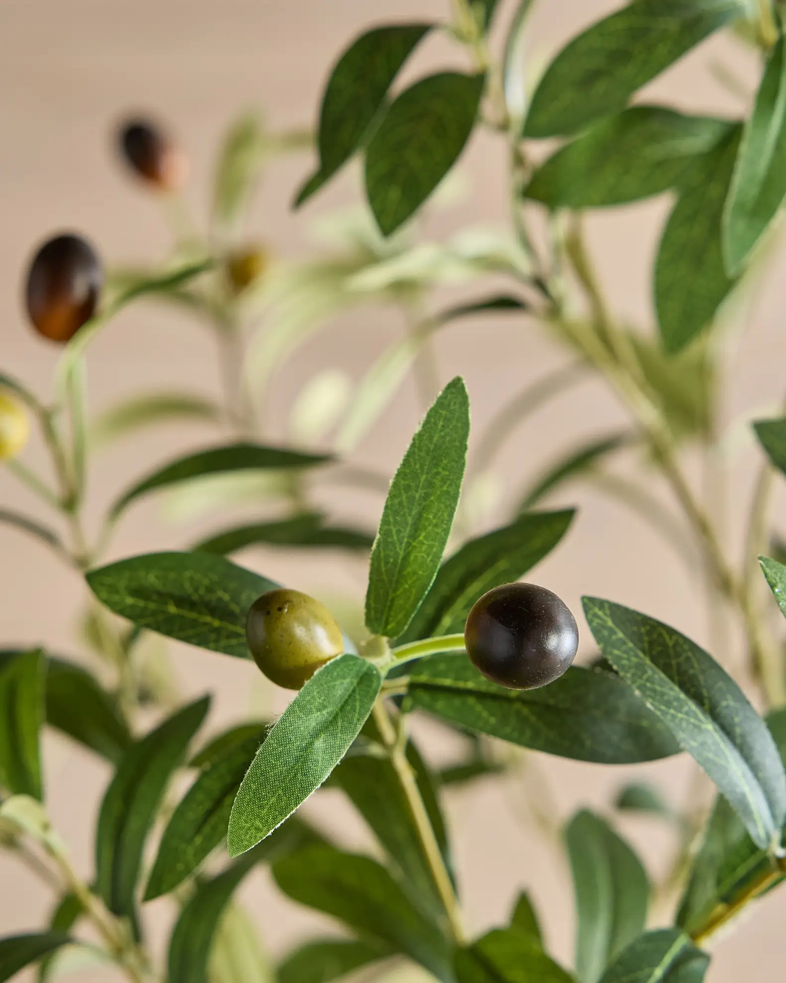 Faux Olive Tree | Quince