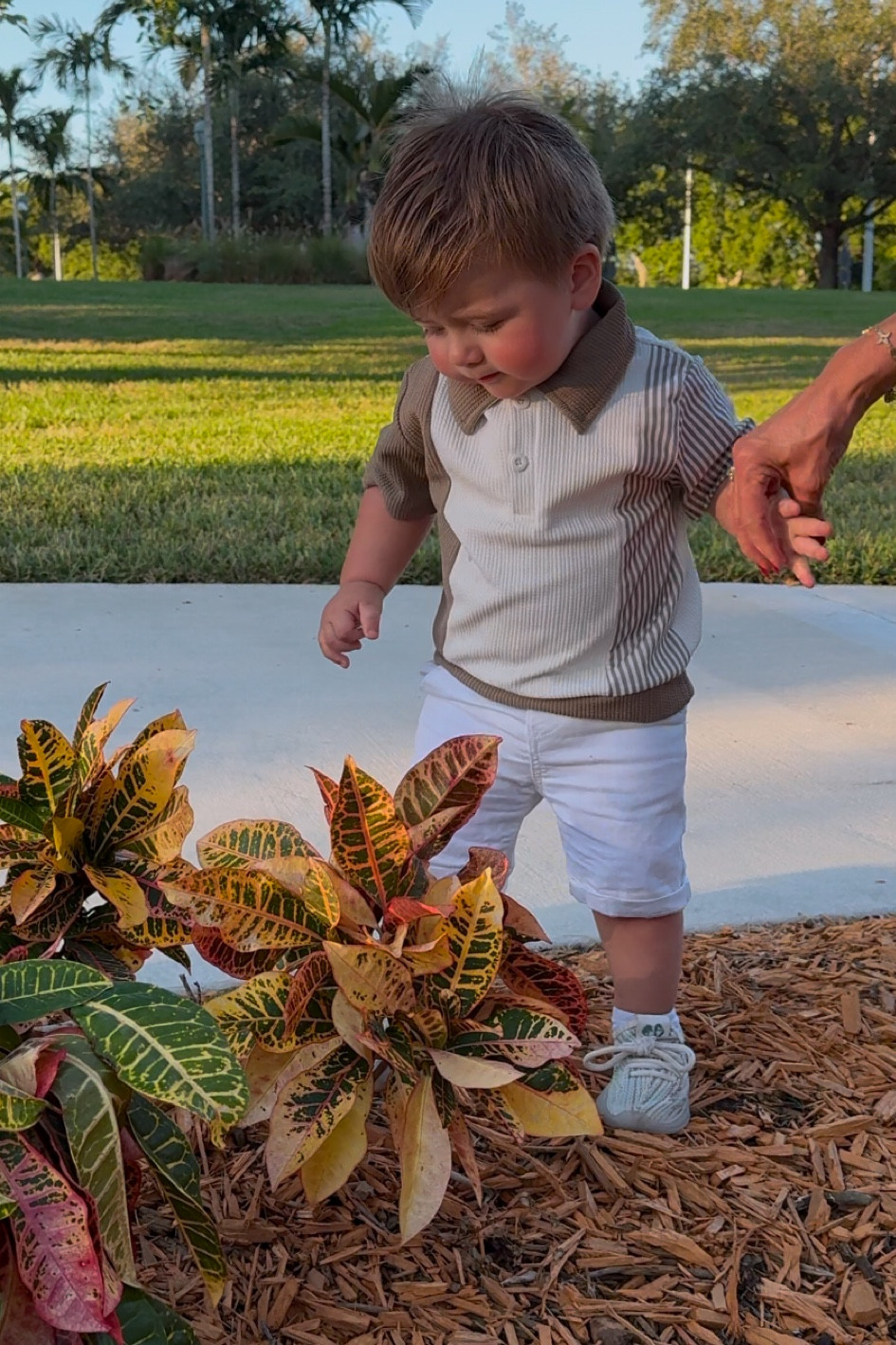 Fall Miami Fits for my toddler boy 🫠❤️🤌🏼

#LTKFindsUnder50 #LTKFamily #LTKBaby