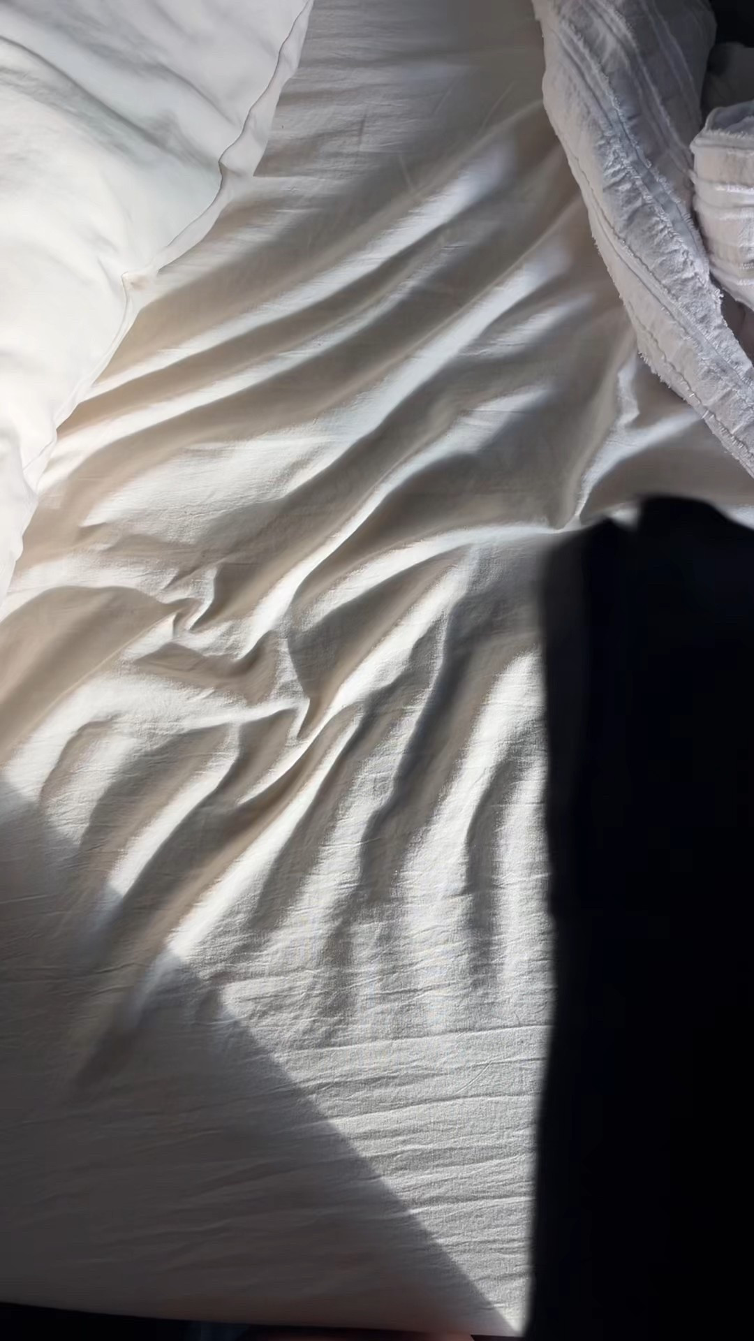 lets head to the gym 

 

#LTKActive #LTKFindsUnder50 #LTKShoeCrush