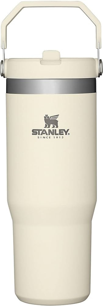 Stanley IceFlow Stainless Steel Tumbler with Straw, Vacuum Insulated Water Bottle for Home, Offic... | Amazon (US)