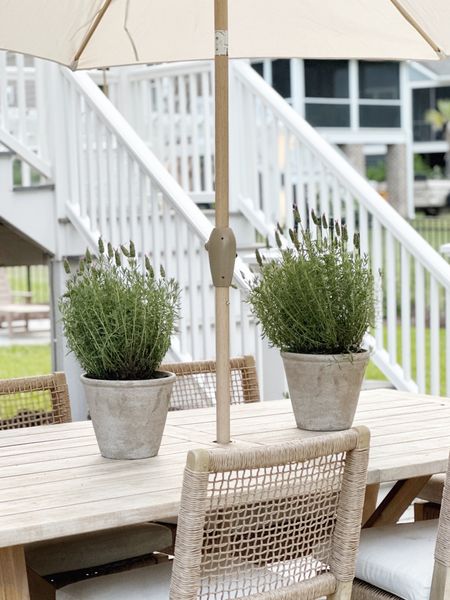 Coastal outdoor furniture and decor!

walmart target outdoor patio porch furniture table chairs teak woven coastal classic flower pots

#LTKstyletip #LTKSeasonal #LTKhome
