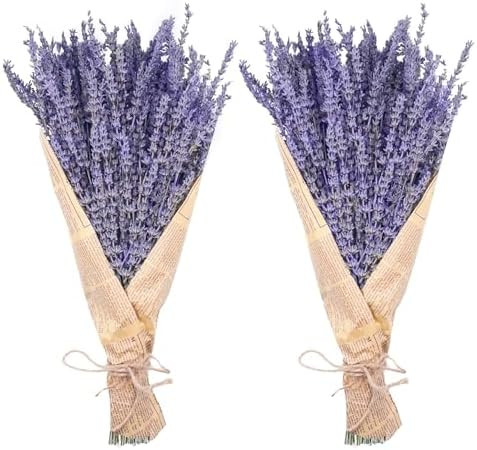 Dried Lavender Bundles, Uieke Natural Dried Lavender Flowers 280-300 Stems 16“ for Home Weeding... | Amazon (US)