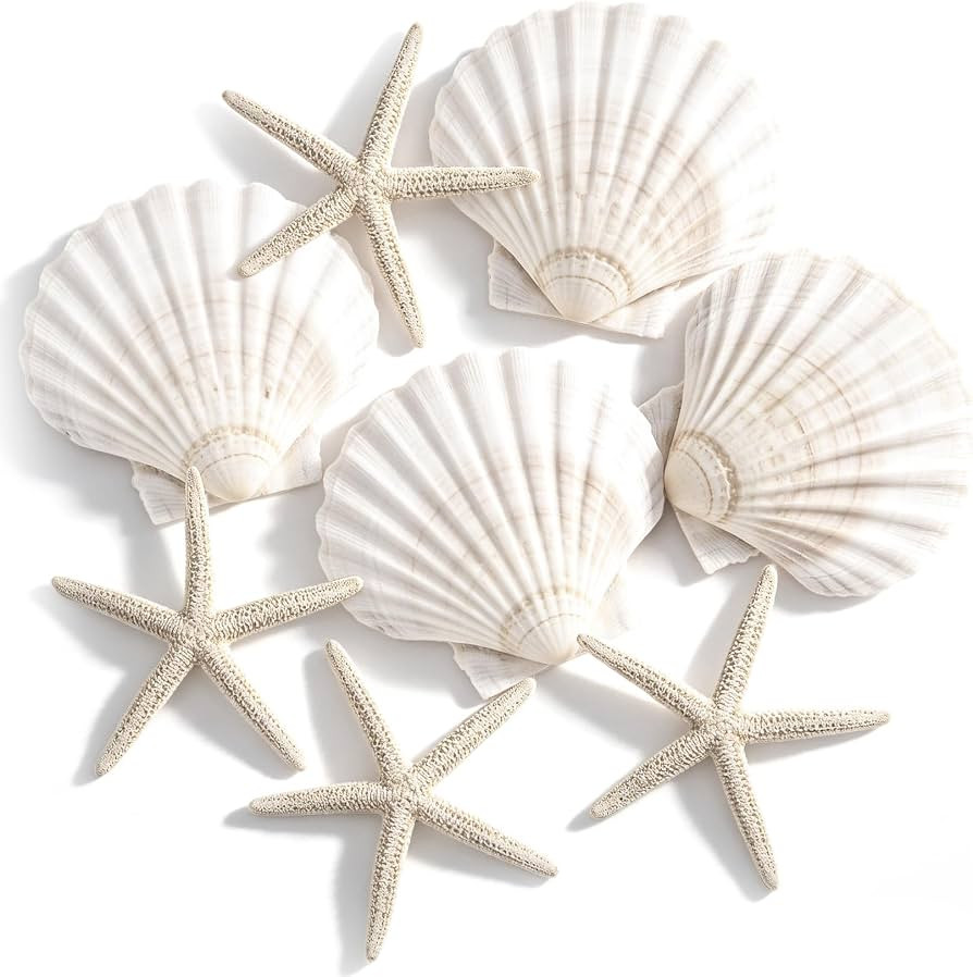 PPCLION 8 PCS Natural Starfish 4-5" and Scallop Shell for Crafts Making Beach Theme Party Wedding... | Amazon (US)