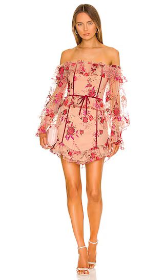 Fae Mini Dress in Scarlet Vineyard | Revolve Clothing (Global)