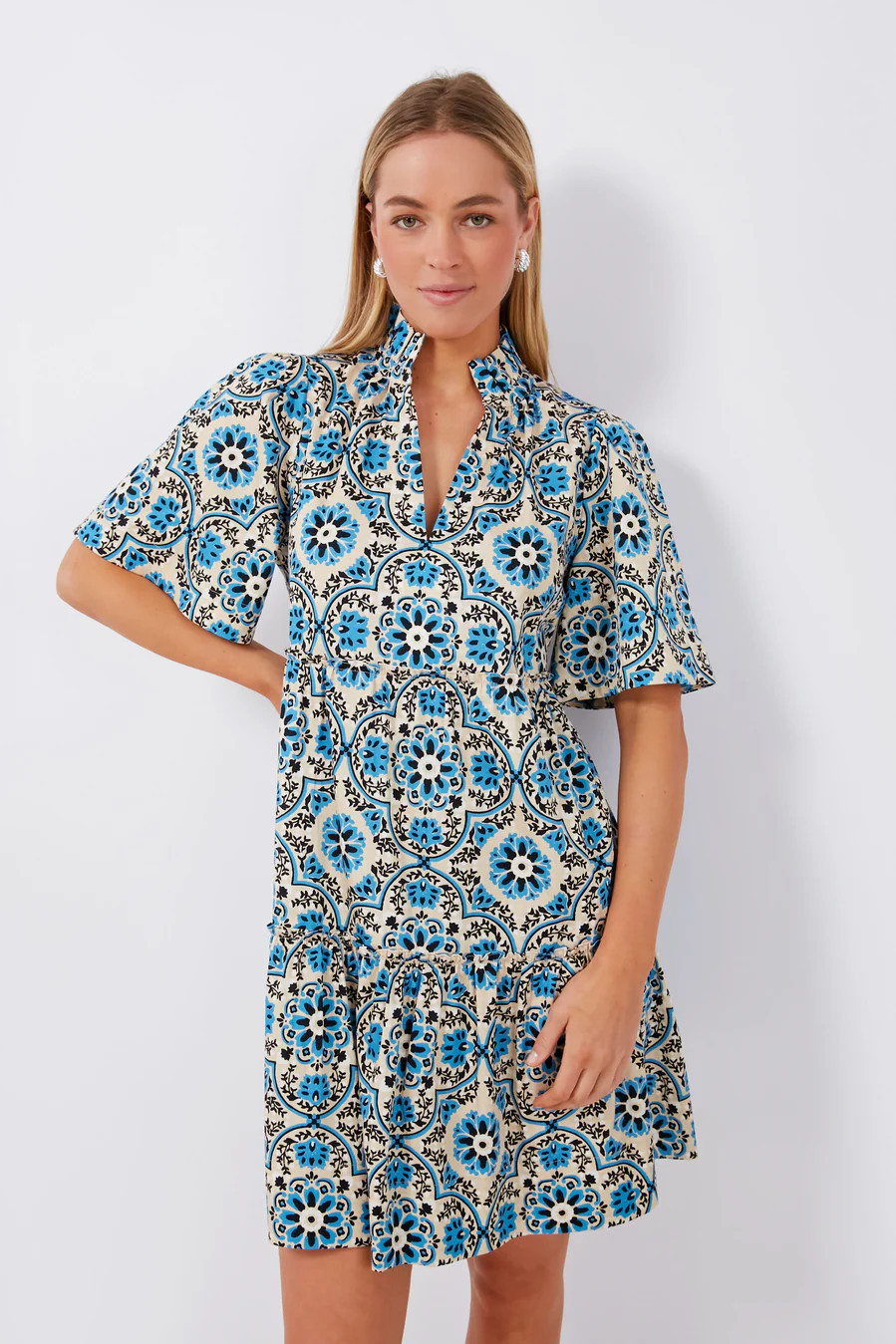 Golden Medallion Crawford Dress | Tuckernuck (US)