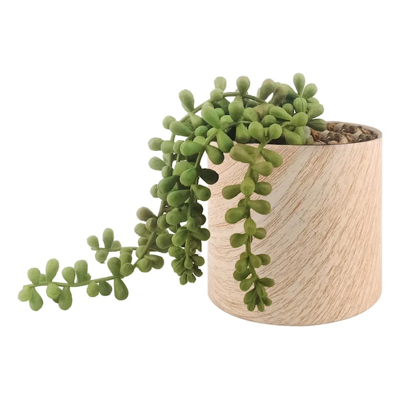 String of Pearls in White Oak Pot, 5" | At Home