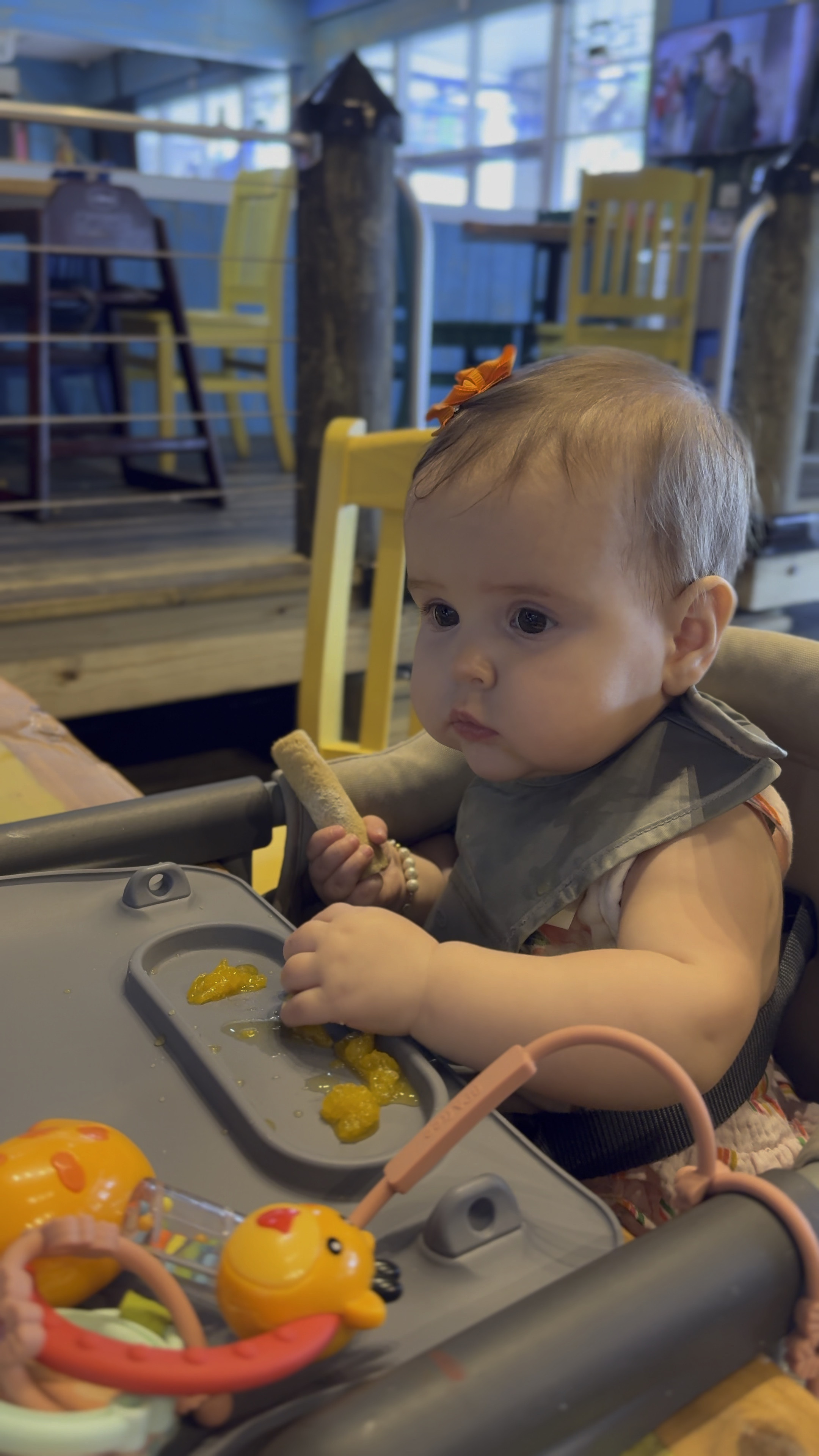 My fav baby restaurant items at 7 months old plus! 

#LTKBump #LTKBaby