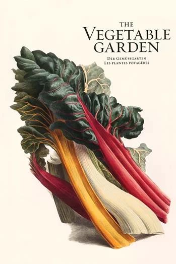 'The Vegetable Garden' by Philippe-Victoire Levêque De Vilmorin Graphic Art | Wayfair North America