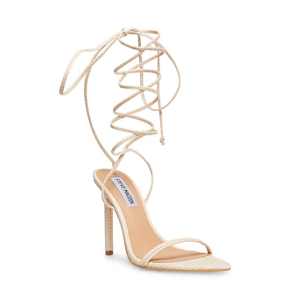 PREMIER BONE | Steve Madden (US)